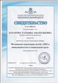 Свидетельство о принятии участия во всероссийском вебинаре "Механизмы адаптации детей с ОВЗ и инвалидностью в социальной среде"