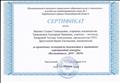 Сертификат за проведение экспертизы документов и оценивание мероприятий конкурса "ВоспитательДОУ - 2019"